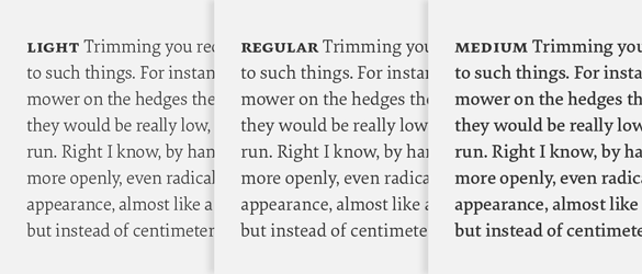 The three text weights of Elena — light, regular and medium.